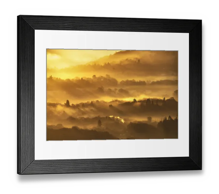 Framed Print : Lake District Winter woodland sunrise UK Framed Print : Lake District Winter woodland sunrise UK