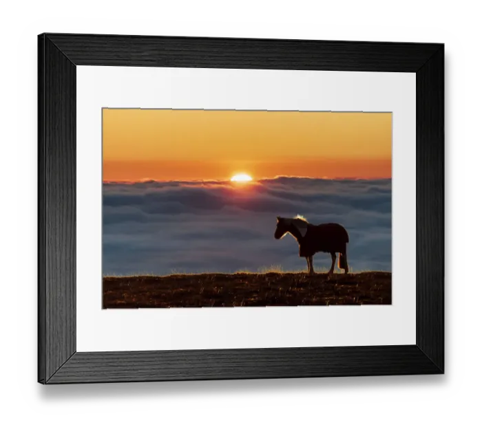 Framed Print : Eccles Pike horse, sunset above the fog, English Peak District Framed Print : Eccles Pike horse, sunset above the fog, English Peak District