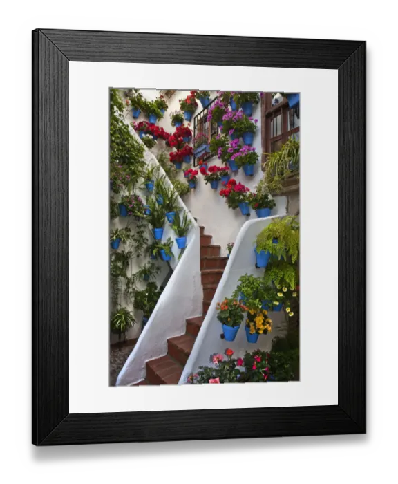 Framed Print : Patio decorated for Cordoba Patio Festival Framed Print : Patio decorated for Cordoba Patio Festival