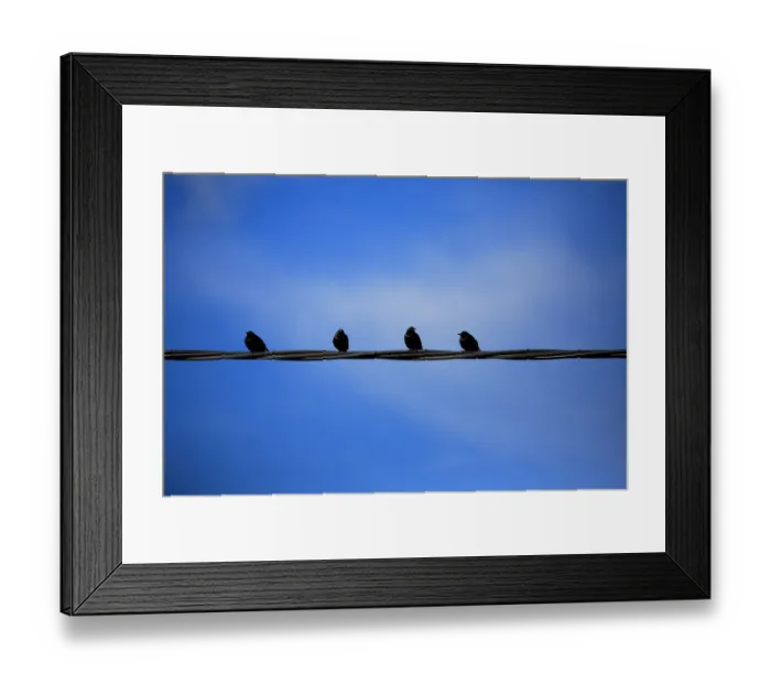 Framed Print : Birds on a Wire Framed Print : Birds on a Wire
