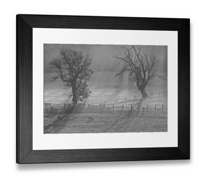 Framed Print : Monochrome Misty Landscape Framed Print : Monochrome Misty Landscape
