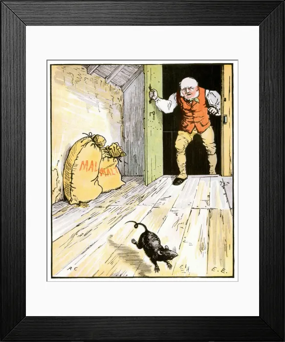 Framed Print : This is the Rat Framed Print : This is the Rat