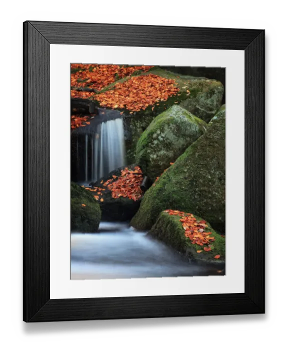 Framed Print : Autumn Fall