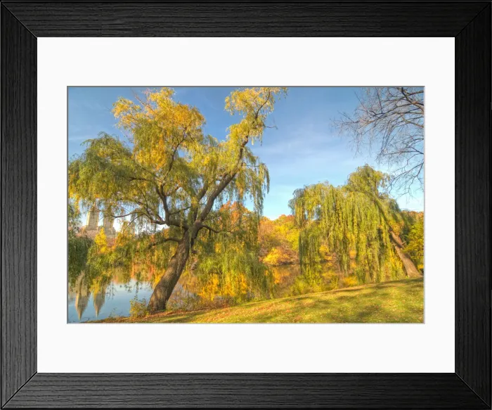 Framed Print : Central Park, NYC Framed Print : Central Park, NYC