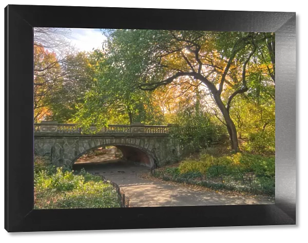 A bridge in Central Park, NYC