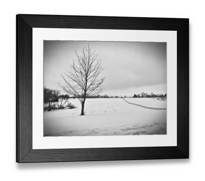 Framed Print : Black and White Framed Print : Black and White