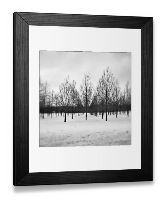 Framed Print : Black and White
