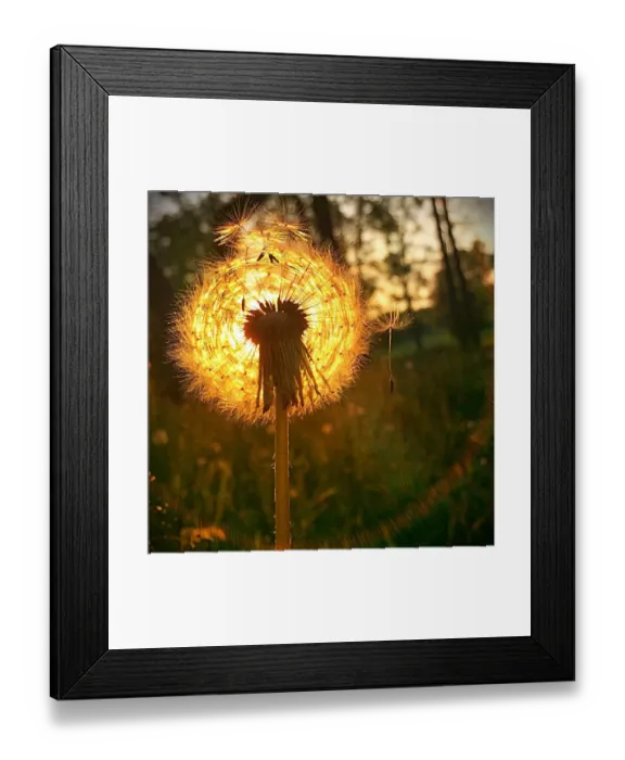 Framed Print : Picturing Spring Framed Print : Picturing Spring
