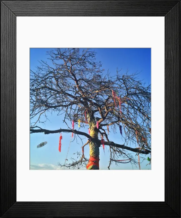 Framed Print : Yarn Bombing Framed Print : Yarn Bombing