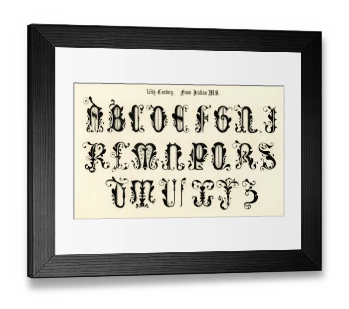 Framed Print : 16th Century Style Alphabet Framed Print : 16th Century Style Alphabet