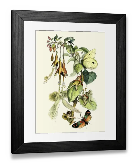Framed Print : Fairies playing with butterflies Framed Print : Fairies playing with butterflies