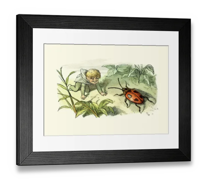 Framed Print : Princess Nobody - Fairy and the ladybird Framed Print : Princess Nobody - Fairy and the ladybird