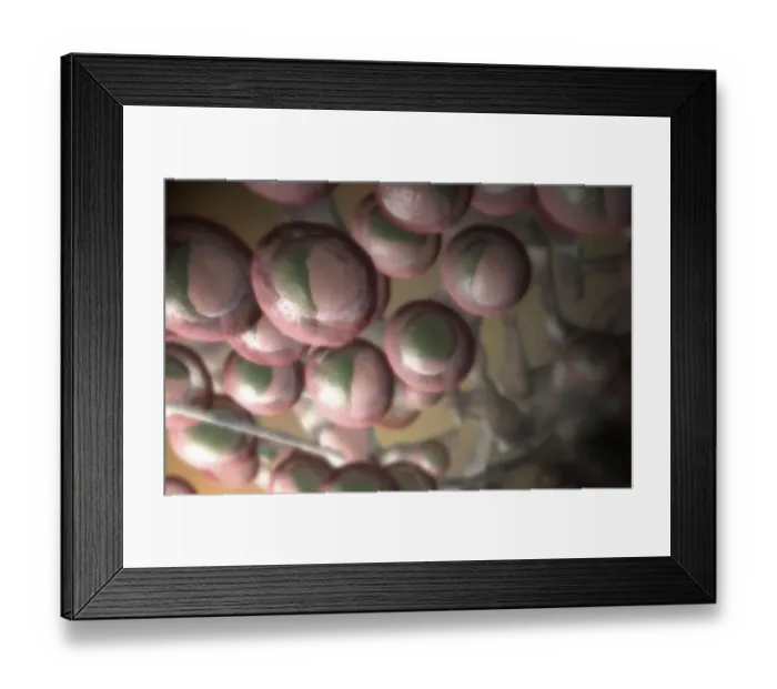 Framed Print : close-up view, illustration, lymph, lymph capillaries, lymph node structure, lymph nodes