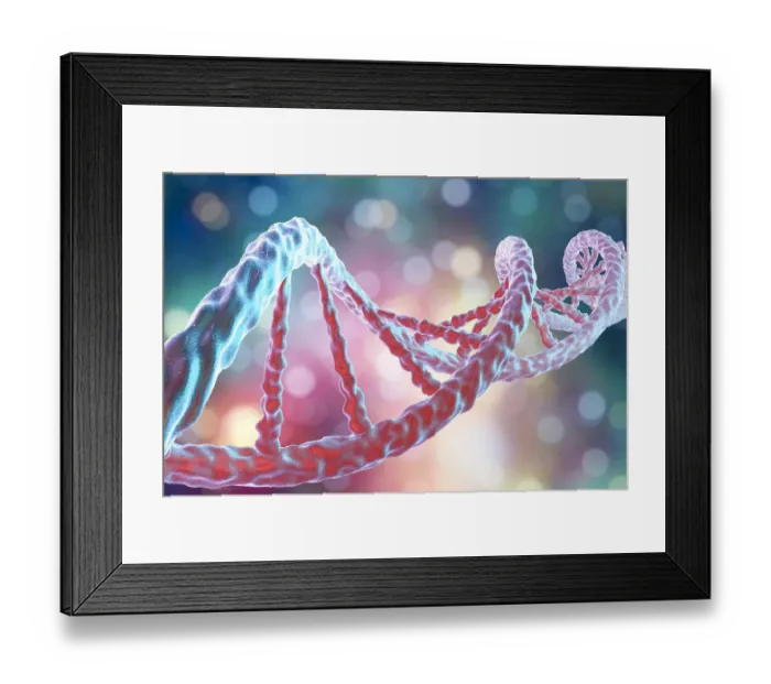 Framed Print : DNA molecule, illustration