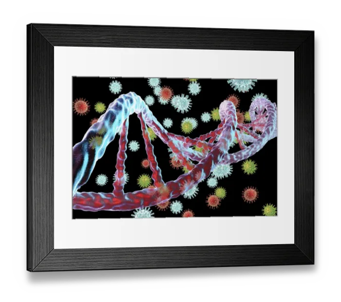 Framed Print : Viruses and DNA, illustration Framed Print : Viruses and DNA, illustration