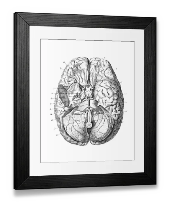 Framed Print : Engraved Image, 18th Century Style, Image Created 18th Century, Woodcut, Print, Illustration