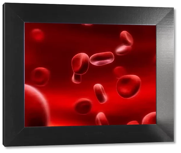 Human red blood cells, artwork