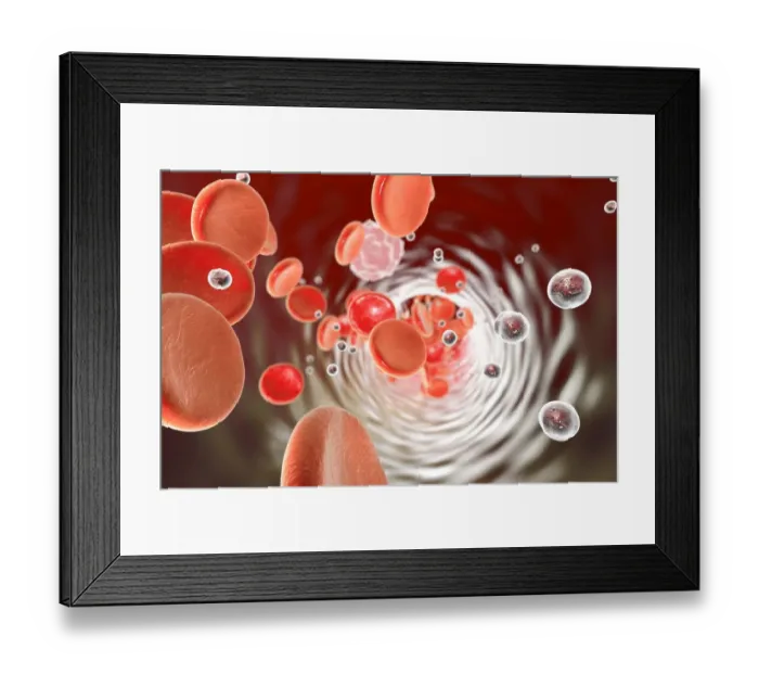 Framed Print : Particles in blood vessel, illustration Framed Print : Particles in blood vessel, illustration