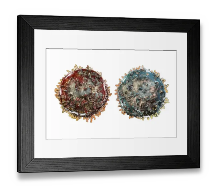 Framed Print : Lymphocytes, illustration Framed Print : Lymphocytes, illustration