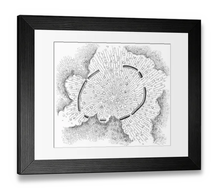 Framed Print : Squier Map of Cayugan Fort near Auburn in Cayuga County, New York, USA Framed Print : Squier Map of Cayugan Fort near Auburn in Cayuga County, New York, USA