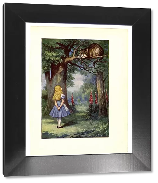 Cheshire Cat on tree illustration, (Alices Adventures in Wonderland)
