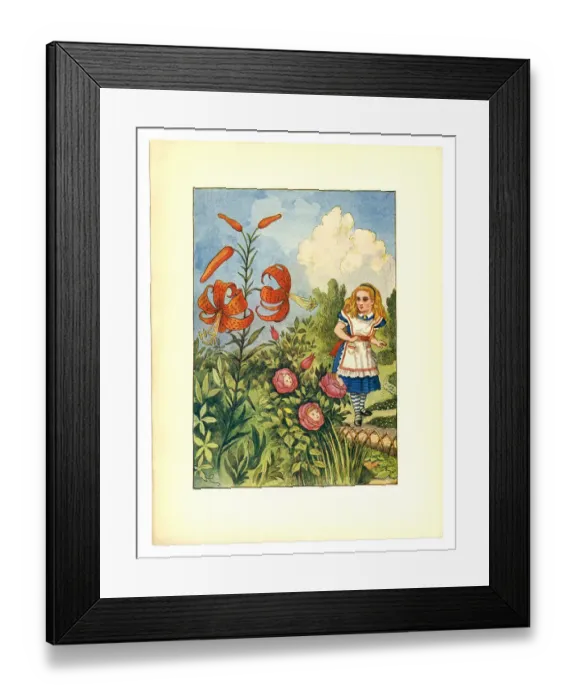 Framed Print : Talking flowers illustration, (Alices Adventures in Wonderland) Framed Print : Talking flowers illustration, (Alices Adventures in Wonderland)