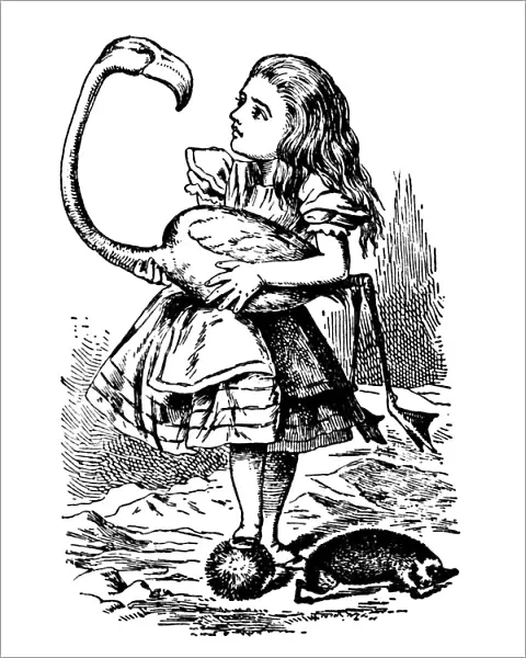 Alice Holding a Bird, Alices Adventures in Wonderland
