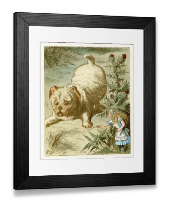 Framed Print : Alice in Wonderland Framed Print : Alice in Wonderland