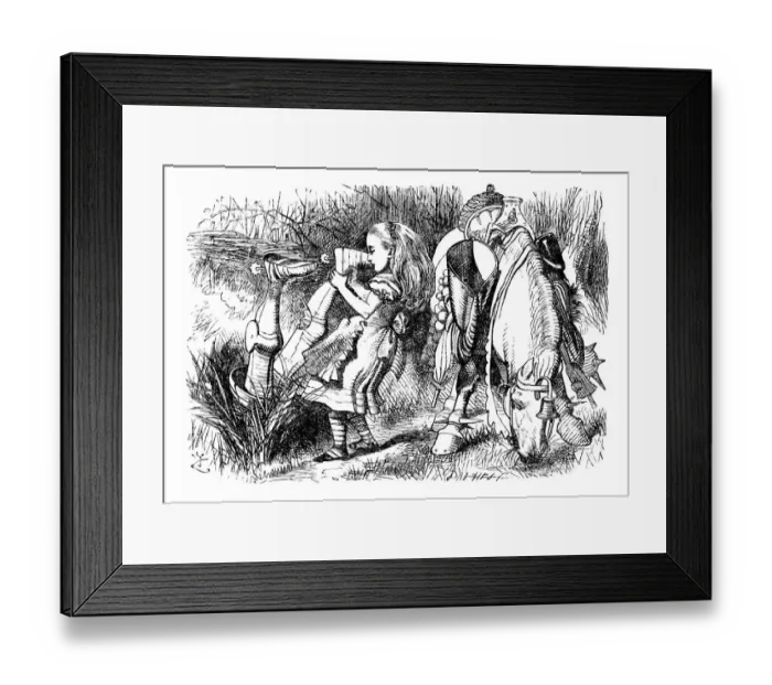 Framed Print : Alice through the looking glass Framed Print : Alice through the looking glass