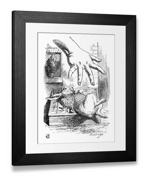 Framed Print : Alice in Wonderland Framed Print : Alice in Wonderland