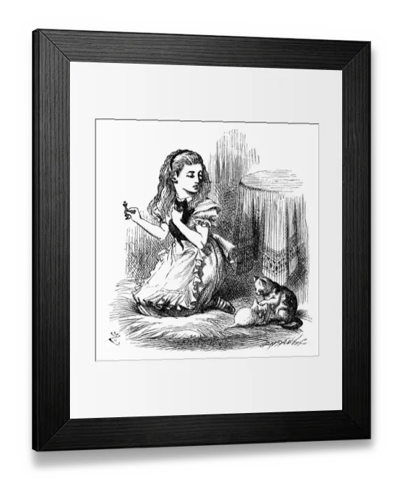 Framed Print : Alice through the looking glass Framed Print : Alice through the looking glass
