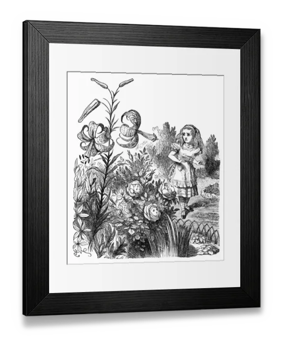 Framed Print : Alice through the looking glass Framed Print : Alice through the looking glass