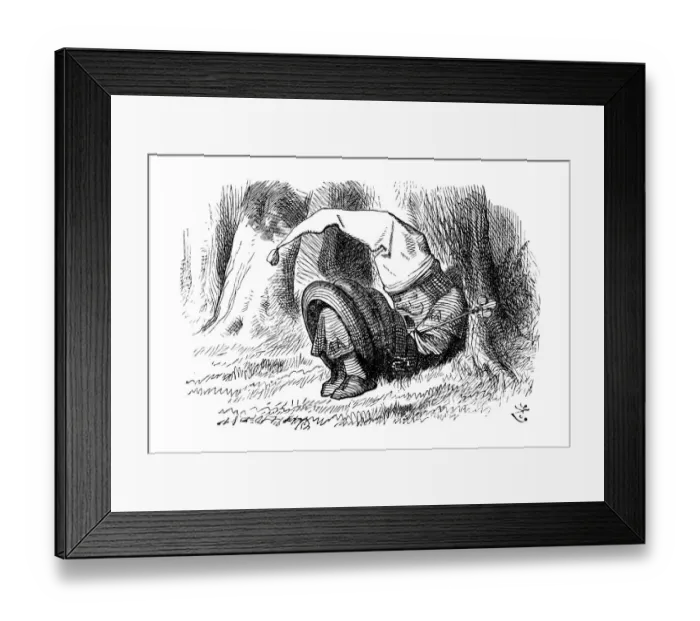 Framed Print : Alice through the looking glass Framed Print : Alice through the looking glass