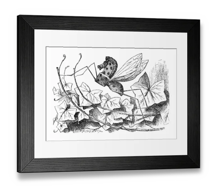 Framed Print : Alice through the looking glass Framed Print : Alice through the looking glass