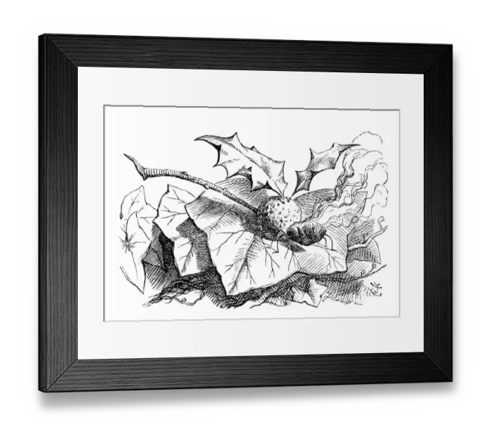 Framed Print : Alice through the looking glass