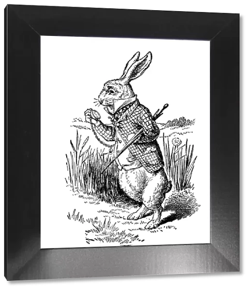 White Rabbit, Alices Adventures in Wonderland