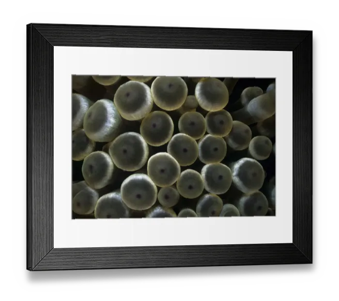 Framed Print : Easy Retouch, no people, horizontal, outdoors, night, directly below, full frame Framed Print : Easy Retouch, no people, horizontal, outdoors, night, directly below, full frame