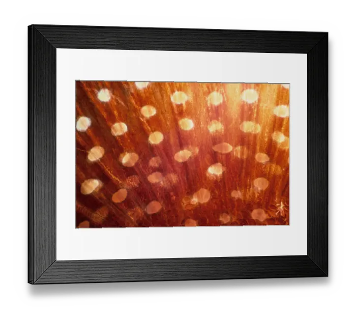 Framed Print : Tail of Coral Grouper