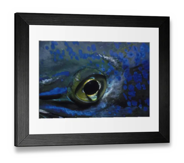 Framed Print : Eye of Dolphinfish Framed Print : Eye of Dolphinfish