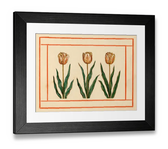Framed Print : Tulips - Kate Greenaway, 1884 Framed Print : Tulips - Kate Greenaway, 1884