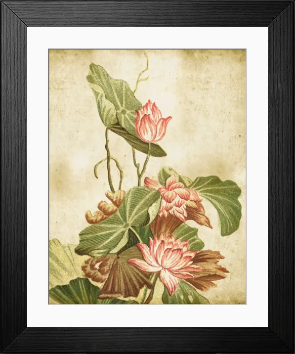 Framed Print : Old Dirty Chinese Wallpaper Framed Print : Old Dirty Chinese Wallpaper