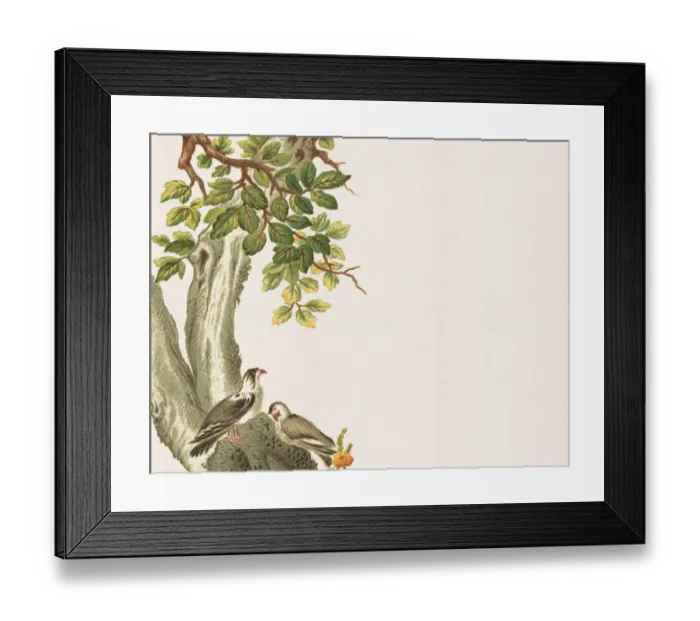 Framed Print : Old Chinese Painting