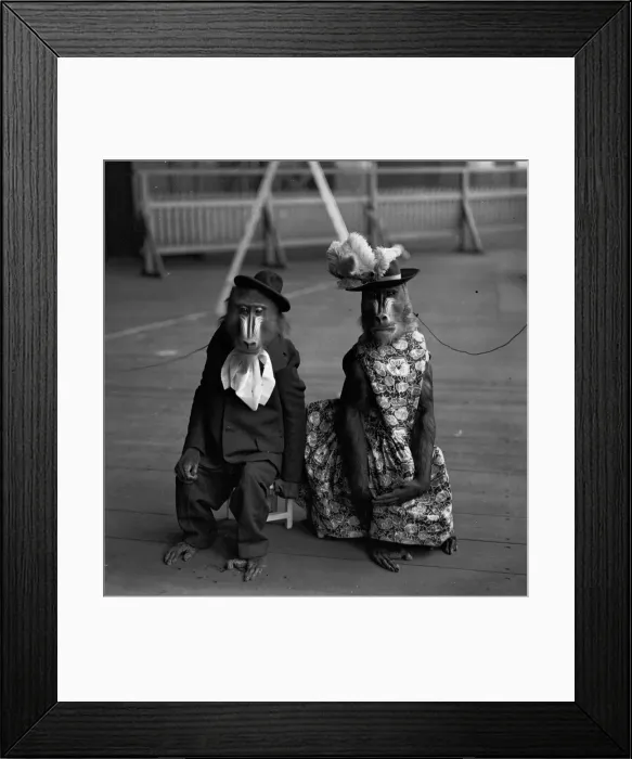 Framed Print : Anthropomorphic Framed Print : Anthropomorphic