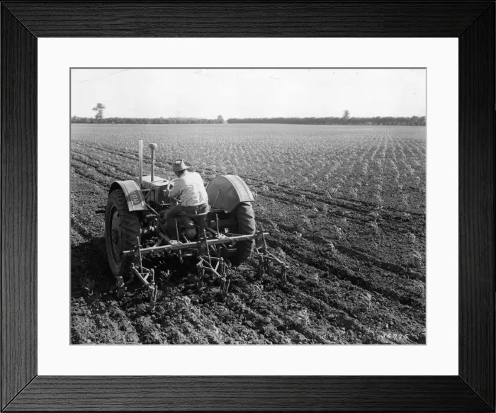 Framed Print : Kansas Fields Framed Print : Kansas Fields