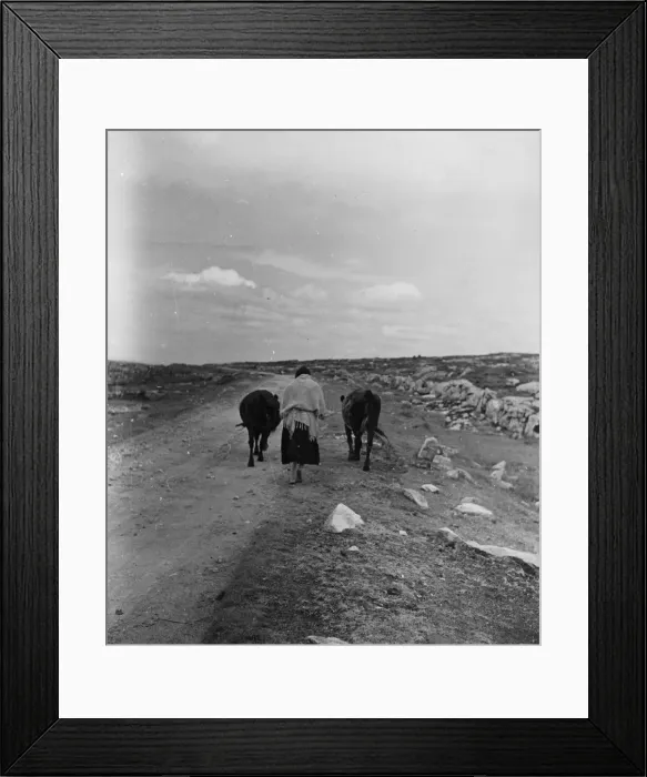 Framed Print : Mountain Farming Framed Print : Mountain Farming