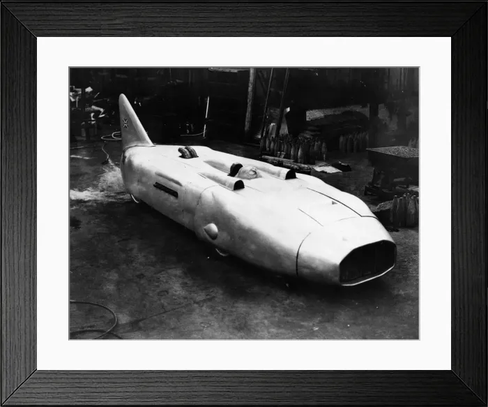 Framed Print : Land Shark Framed Print : Land Shark