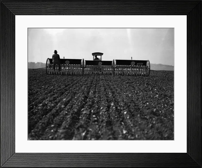 Framed Print : Sowing Corn