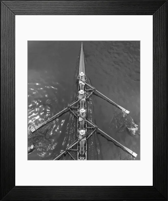 Framed Print : Scull Rowers