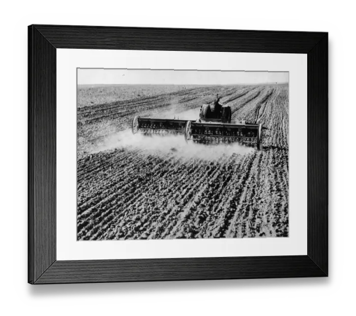 Framed Print : Drill Planting Framed Print : Drill Planting