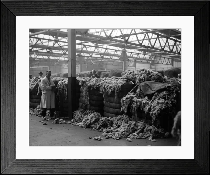 Framed Print : Wool Mountain Framed Print : Wool Mountain